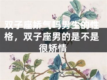 双子座娇气吗男生的性格，双子座男的是不是很矫情