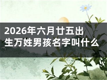2026年六月廿五出生万姓男孩名字叫什么