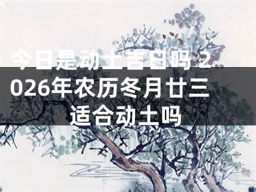 今日是动土吉日吗 2026年农历冬月廿三适合动土吗