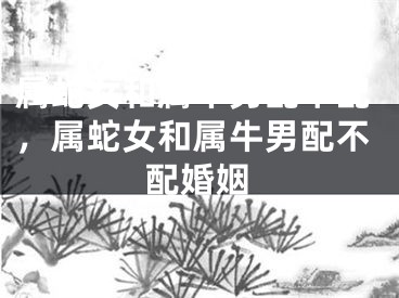 属蛇女和属牛男配不配，属蛇女和属牛男配不配婚姻