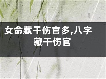 女命藏干伤官多,八字藏干伤官