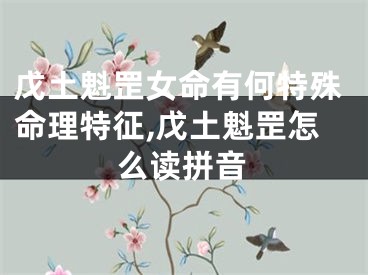 戊土魁罡女命有何特殊命理特征,戊土魁罡怎么读拼音