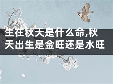 生在秋天是什么命,秋天出生是金旺还是水旺