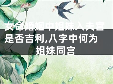 女命婚姻中姐妹入夫宫是否吉利,八字中何为姐妹同宫