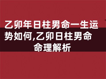乙卯年日柱男命一生运势如何,乙卯日柱男命命理解析