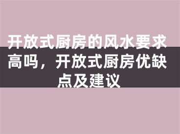 开放式厨房的风水要求高吗,开放式厨房优缺点及建议