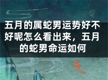 五月的属蛇男运势好不好呢怎么看出来，五月的蛇男命运如何