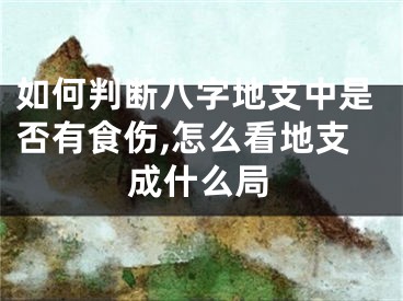 如何判断八字地支中是否有食伤,怎么看地支成什么局