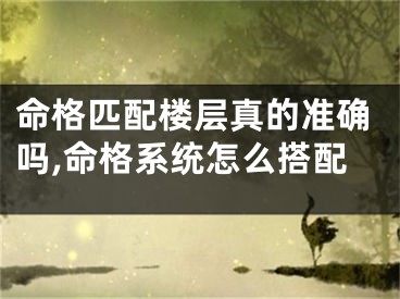 命格匹配楼层真的准确吗,命格系统怎么搭配