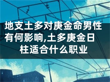 地支土多对庚金命男性有何影响,土多庚金日柱适合什么职业
