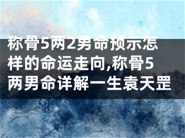 称骨5两2男命预示怎样的命运走向,称骨5两男命详解一生袁天罡