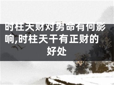 时柱天财对男命有何影响,时柱天干有正财的好处