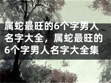 属蛇最旺的6个字男人名字大全，属蛇最旺的6个字男人名字大全集