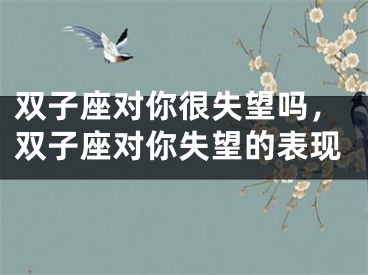 双子座对你很失望吗，双子座对你失望的表现