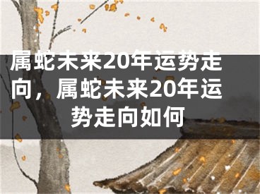 属蛇未来20年运势走向,属蛇未来20年运势走向如何