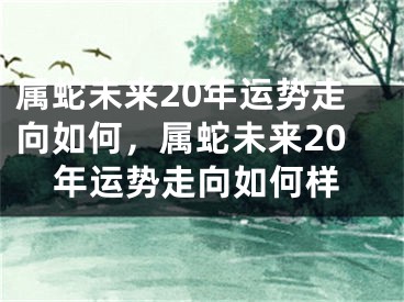 属蛇未来20年运势走向如何,属蛇未来20年运势走向如何样
