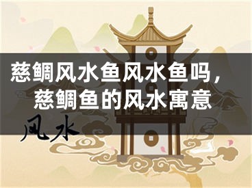慈鲷风水鱼风水鱼吗，慈鲷鱼的风水寓意