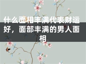 什么面相丰满代表财运好，面部丰满的男人面相