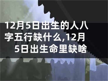 12月5日出生的人八字五行缺什么,12月5日出生命里缺啥