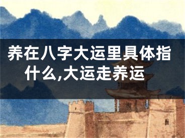 养在八字大运里具体指什么,大运走养运