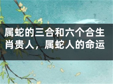 属蛇的三合和六个合生肖贵人，属蛇人的命运