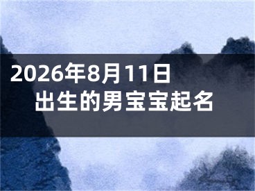 2026年8月11日出生的男宝宝起名