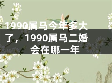 1990属马今年多大了，1990属马二婚会在哪一年