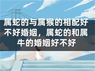 属蛇的与属猴的相配好不好婚姻，属蛇的和属牛的婚姻好不好
