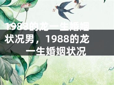 1988的龙一生婚姻状况男，1988的龙一生婚姻状况