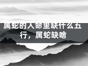 属蛇的人命里缺什么五行，属蛇缺啥