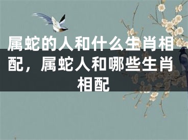 属蛇的人和什么生肖相配，属蛇人和哪些生肖相配