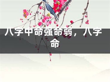 八字中命强命弱，八字命