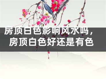 房顶白色影响风水吗，房顶白色好还是有色