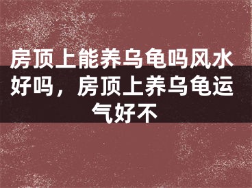 房顶上能养乌龟吗风水好吗,房顶上养乌龟运气好不