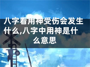 八字看用神受伤会发生什么,八字中用神是什么意思