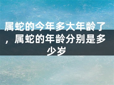 属蛇的今年多大年龄了，属蛇的年龄分别是多少岁