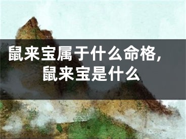 鼠来宝属于什么命格,鼠来宝是什么