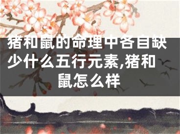 猪和鼠的命理中各自缺少什么五行元素,猪和鼠怎么样