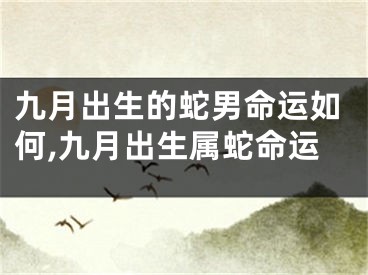 九月出生的蛇男命运如何,九月出生属蛇命运