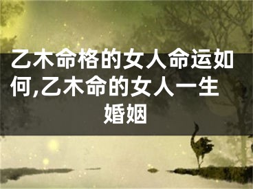 乙木命格的女人命运如何,乙木命的女人一生婚姻
