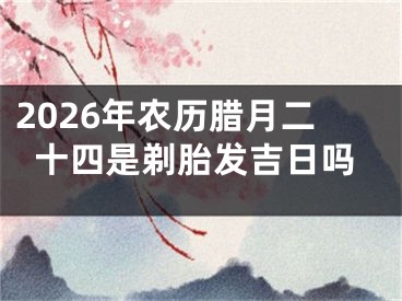 2026年农历腊月二十四是剃胎发吉日吗