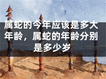 属蛇的今年应该是多大年龄，属蛇的年龄分别是多少岁