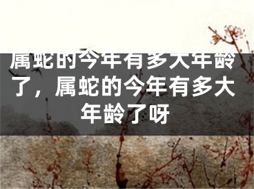 属蛇的今年有多大年龄了，属蛇的今年有多大年龄了呀