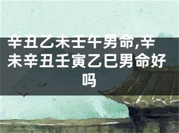 辛丑乙未壬午男命,辛未辛丑壬寅乙巳男命好吗