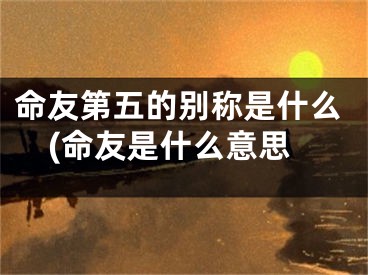命友第五的别称是什么(命友是什么意思