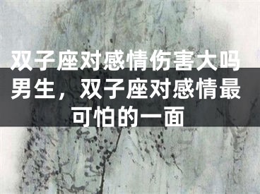双子座对感情伤害大吗男生，双子座对感情最可怕的一面