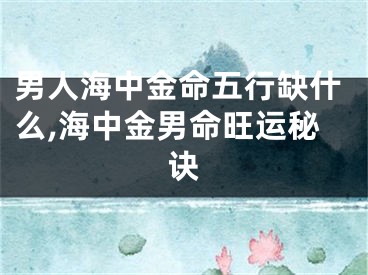 男人海中金命五行缺什么,海中金男命旺运秘诀