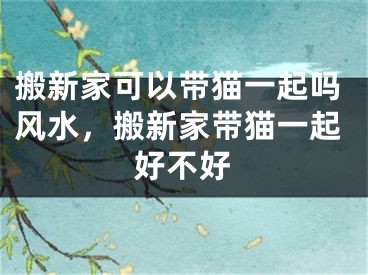 搬新家可以带猫一起吗风水，搬新家带猫一起好不好
