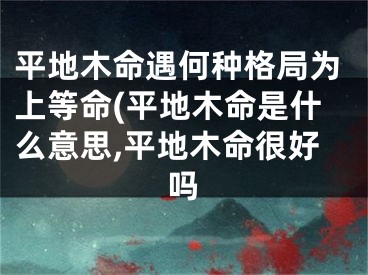 平地木命遇何种格局为上等命(平地木命是什么意思,平地木命很好吗