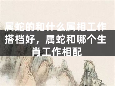 属蛇的和什么属相工作搭档好，属蛇和哪个生肖工作相配
